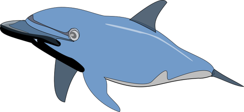 Delfin Pływanie