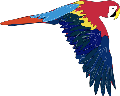 Vector graphics of macaw flying