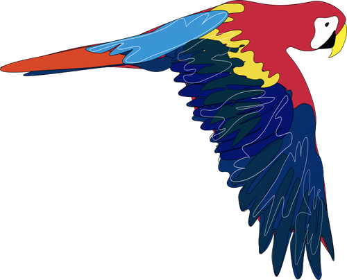 Gráficos vectoriales de Guacamaya volando