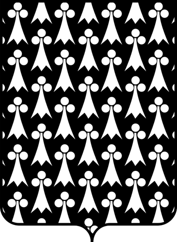 Shield Pattern Vector