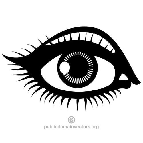 Human eye vector image