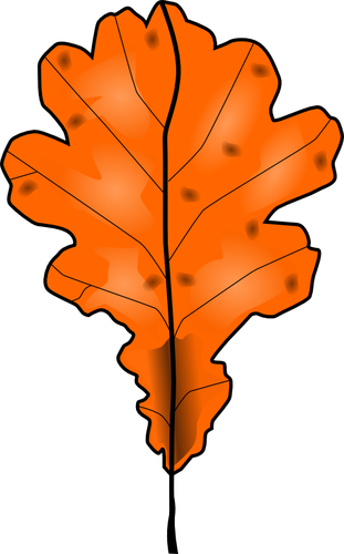Brown fall leaf vector clip art