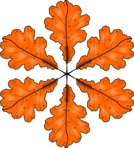 Fall leaf vector illustration