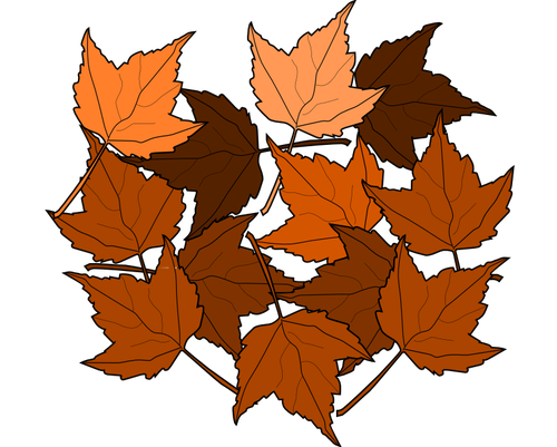 Marrón otoño hojas de dibujo vectorial