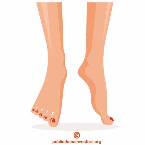 女性の足