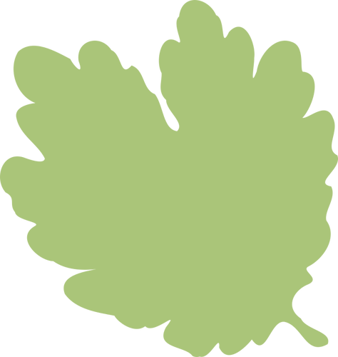 Illustration of pale green leaf silhouette