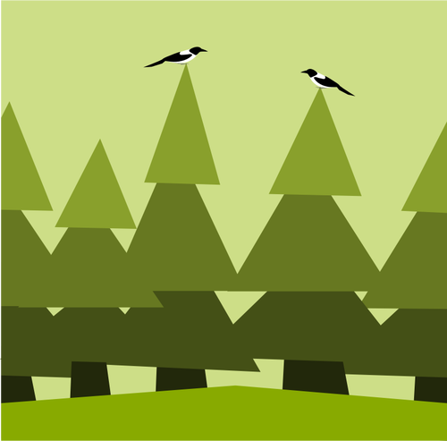 森林与鸟图