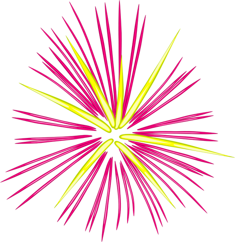 Fuochi D Artificio Rosa Vettoriale Illustrazione Immagini Vettoriali Gratuiti