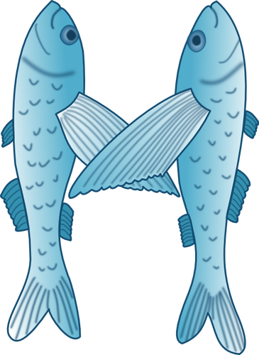 Blue and white vector illustration of two fish