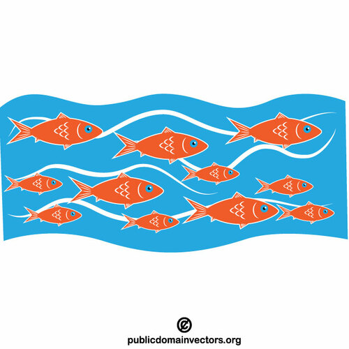 Poissons dans l’eau bleue