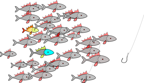 Shoal of fish