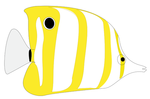 Yellow tropical fish image