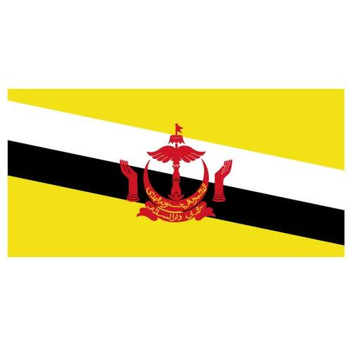 Brunei bayrağı vektör