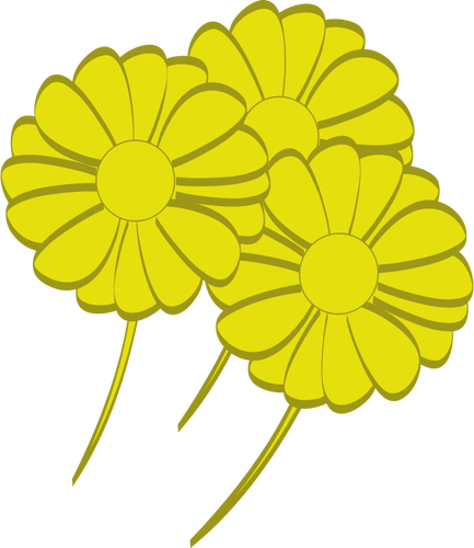الزهور الصفراء