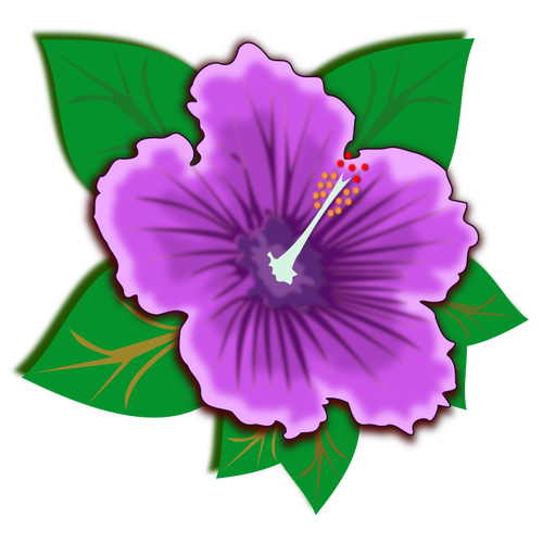 Fiore viola con i fogli