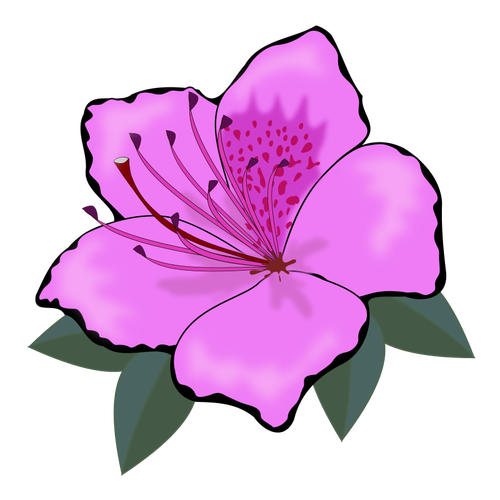 Rosa blomma clip art grafik