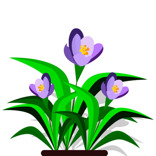 Imagen vectorial de violetas