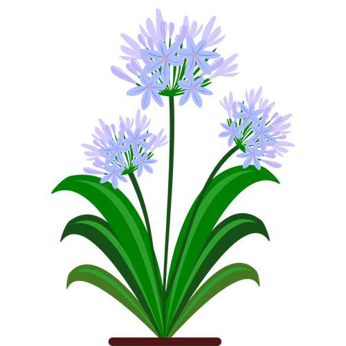 בתמונה וקטורית פרחים כחולים