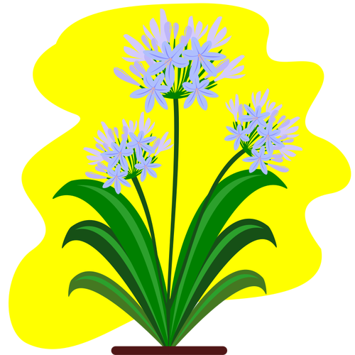 Blomma på gul bakgrund