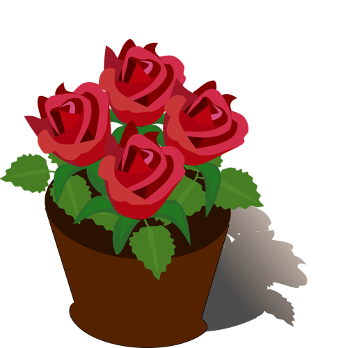 Roses rouges dans un pot