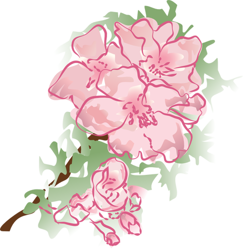 Decoration flower vector illustration