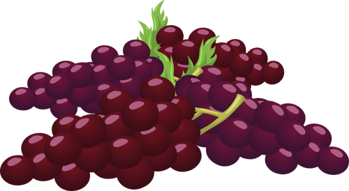 Bunch of grapes