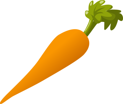 Vegetariano zanahoria