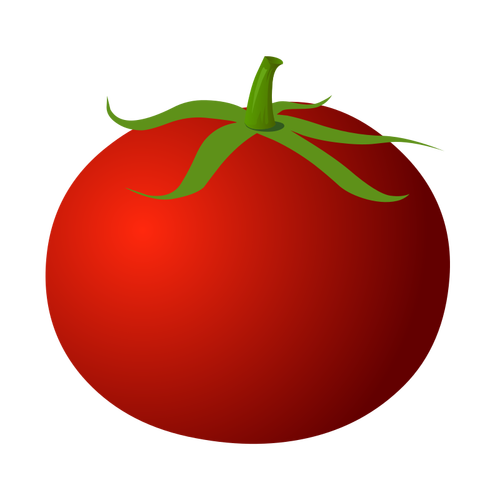 Čerstvé rajče