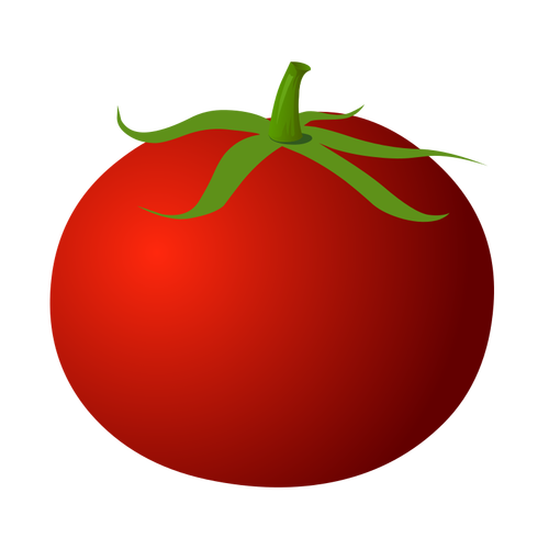 Tomate fresco