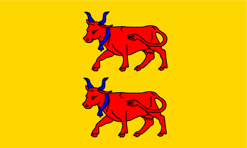 Drapeau de région Bearn vector clipart