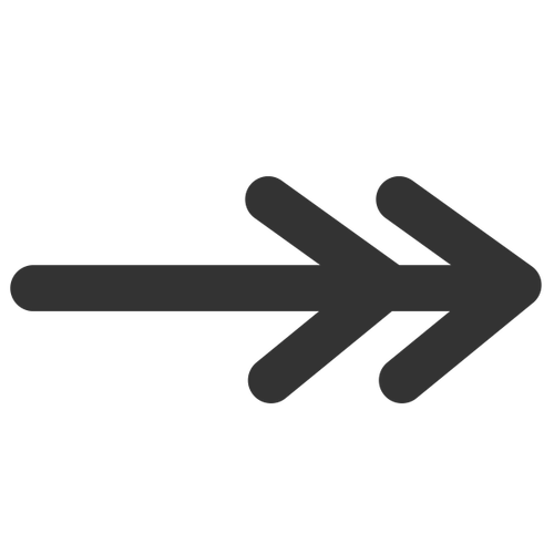 Icono de extremo de flecha de doble línea de línea