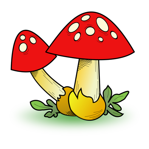 Pilz-Wald