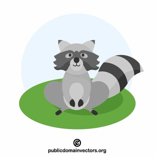 Funny raccoon