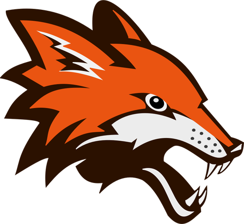 Angry orange fox vector illustration