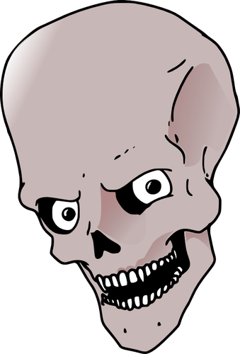 Dibujo vectorial de cráneo de frente alta