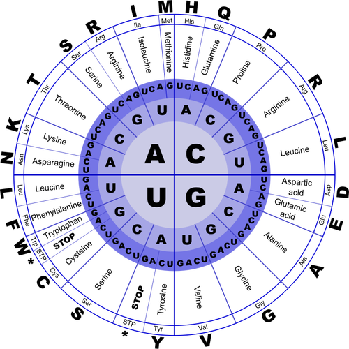 Imagem vetorial de código genético de RNA