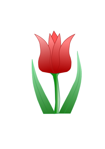 Tulip flower vector clipart