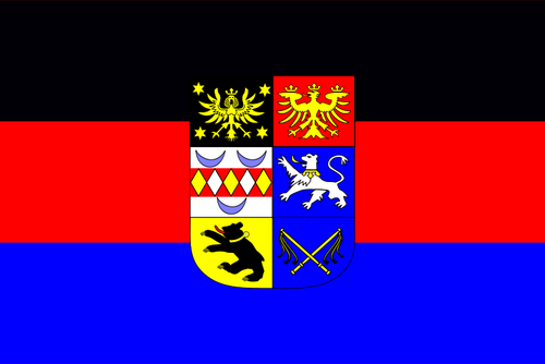 Flagga östra Friesland vektorbild