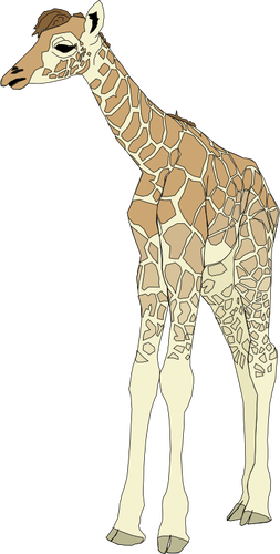 Desenho de bebê girafa