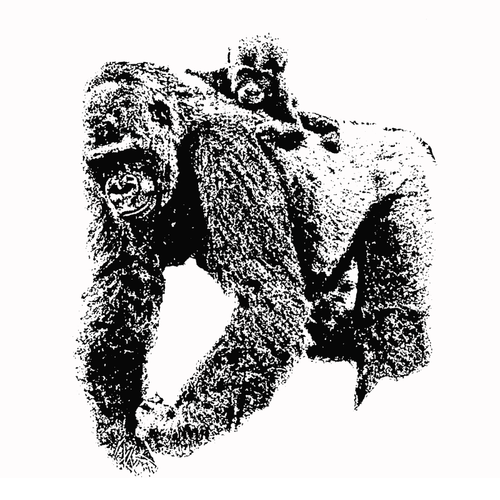 Mother and baby gorilla | Public domain vectors