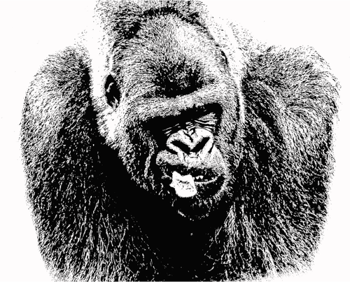 Gorilla tegning