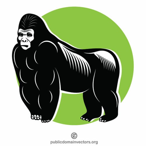 Scimmia gorilla