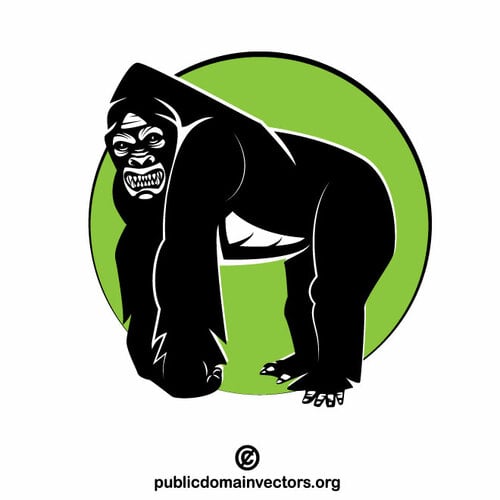 Gorilla