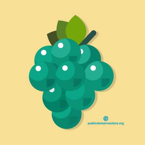 Grape vector image