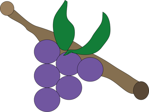 Фиолетовый виноград Векторный рисунок