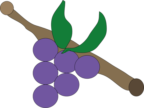 Grapes on branch