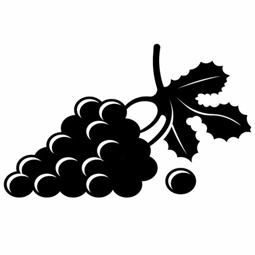 Grapes silhouette monochrome