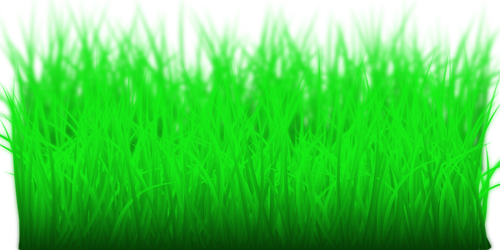 דשא ירוק גבוה