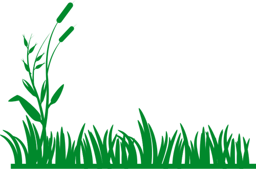 Grass vector background