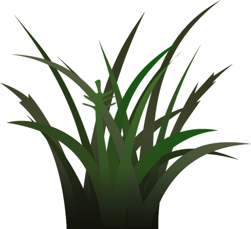 Bunch of grass vector illustration